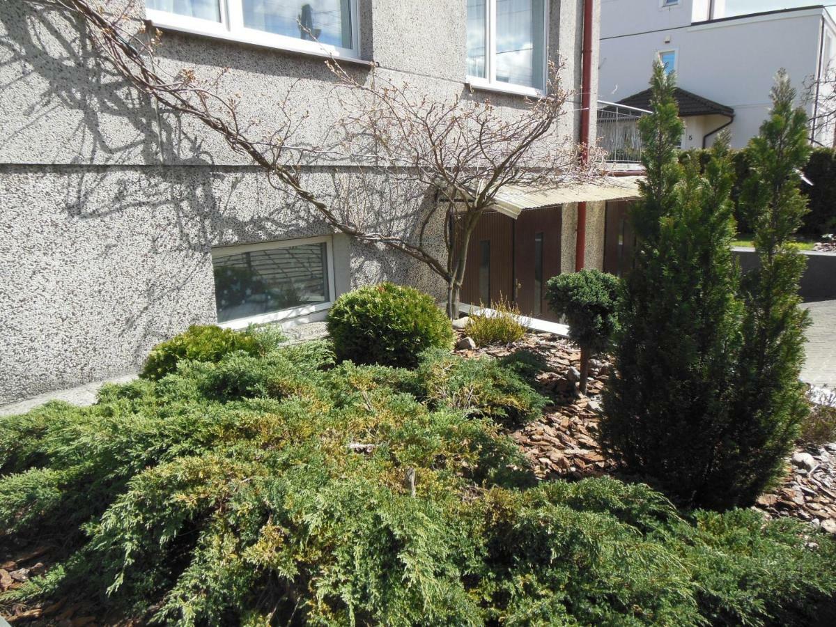 גדינייה Apartament U Adeli מראה חיצוני תמונה